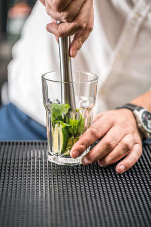 Bartender preparing mojito cocktail drinkの写真素材