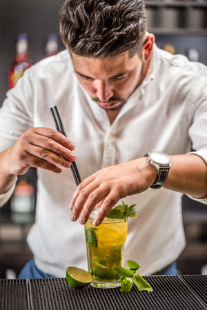Bartender preparing mojito cocktail drink at the barの写真素材