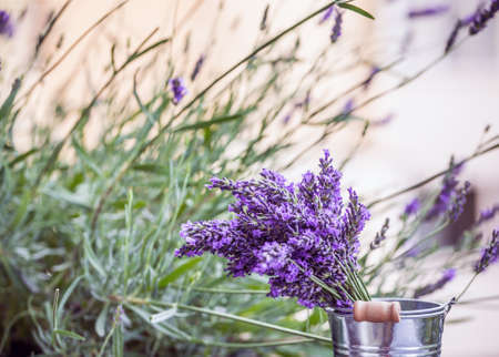 Still life of bunch of lavender flowersの写真素材