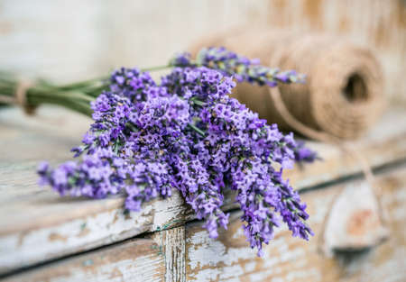 Fresh cut fragrant lavender plant flowers bunchの写真素材