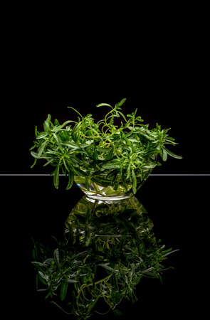 Bunch of fresh organic thyme on black backgroundの写真素材