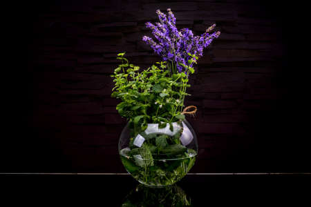 Fresh herbs from garden in glass bottle on blackの写真素材