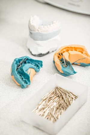 Dental impression and tooth model, denture conceptの写真素材