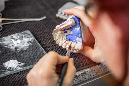 Dental technician is painting a tooth modelの写真素材