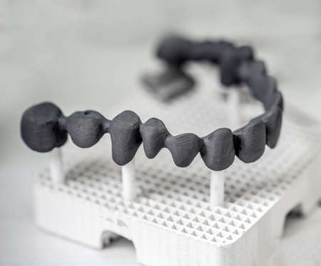 Dental model for dentist theme, prosthesis conceptの写真素材