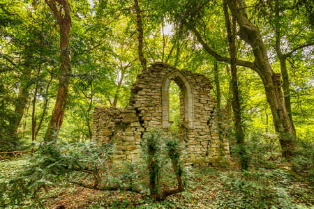 Ancient ruins surrounded by forestの写真素材