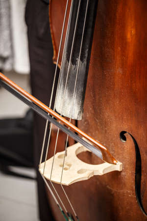 Double bass bridge and string close upの写真素材