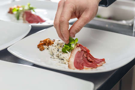 Chef decorating appetizer plate,  goose breast with black radish saladの写真素材