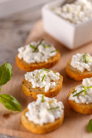 Bread rusks fine toasted appetizers with cottage cheeseの写真素材