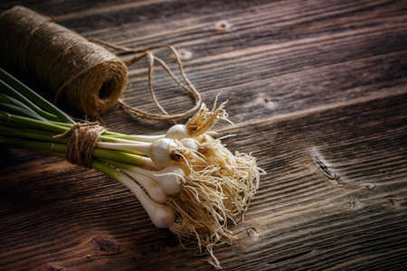 Young green garlic leaves on rustic wooden backgroundの写真素材
