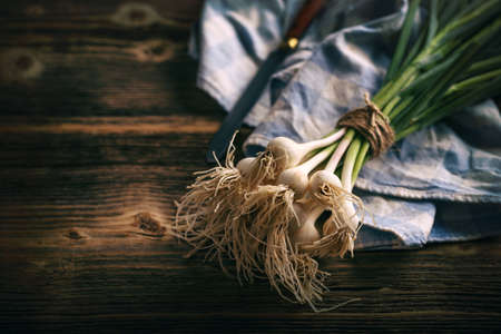 Fresh natural spicy food ingredient - green garlicの写真素材