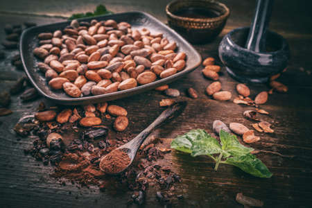 Still life of cacao nibs, cacao beans and cacao powder on old wooden backgroundの写真素材