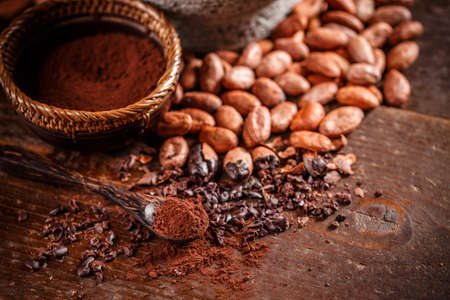 Organic cacao beans and cacao powder in spoonの写真素材