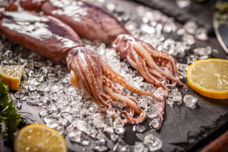 Fresh raw squid with crushed ice on black slateの写真素材