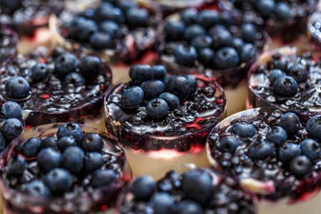 Mini-cheesecakes decorated with blueberries waiting to serveの写真素材