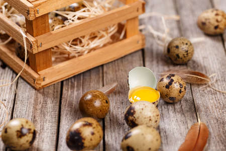 Fresh quail eggs on wooden backgroundの写真素材
