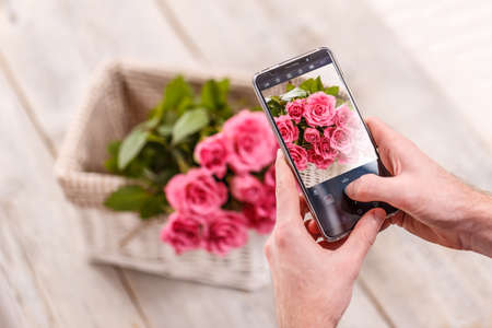 Male hand takes pictures of pink flowers with mobile smart phoneの写真素材