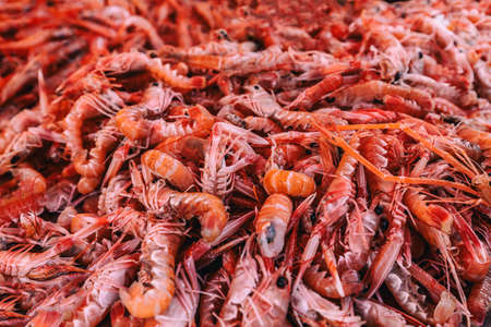 Fresh prawns seafood background, at the fish market