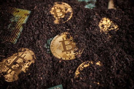 Golden Bitcoins. New virtual money in ground with processorの写真素材