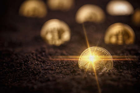 Golden Bitcoins. New virtual money in groundの写真素材