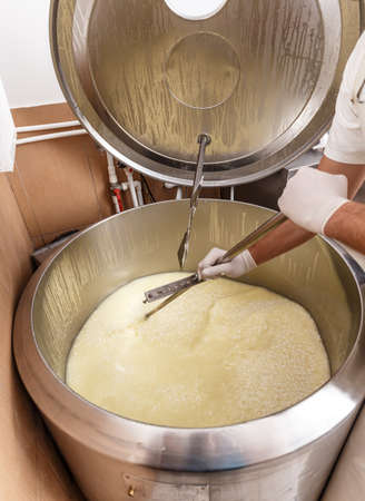 Production of cheese in the dairy companyの写真素材