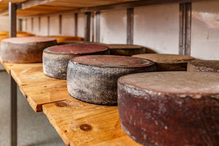 Wheels of aging cheese on wooden shelves