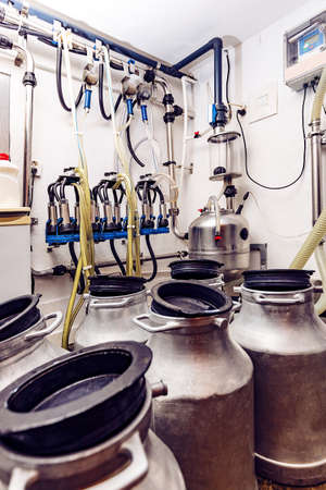 Aluminium container of milk, automated mechanized milking equipment on backgroundの写真素材