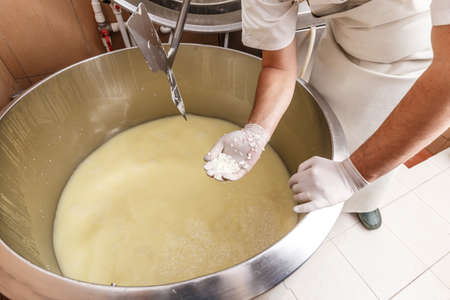 Production of fresh cheese in the dairyの写真素材