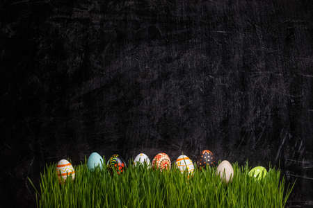 Easter concept with colorful eggs in grass on black background, copy spaceの写真素材