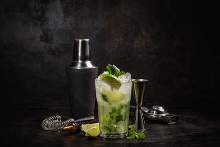 Mojito cocktail decorated with lime and mint leaves. Alcoholic drink concept. Dark Rustic Styleの写真素材