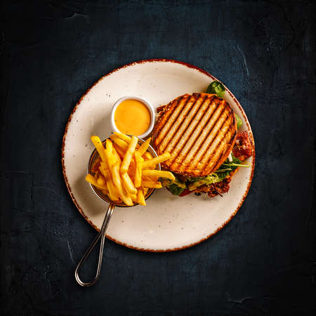 Delicious pub style pulled pork sandwich with french friesの写真素材