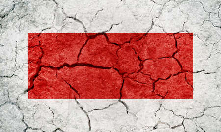 Emirate of Ras Al Khaimah flag on dry earth ground texture backgroundの写真素材