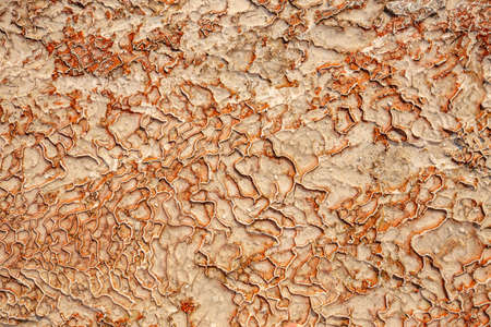 Pamukkale travertine pools surface texture, Turkey