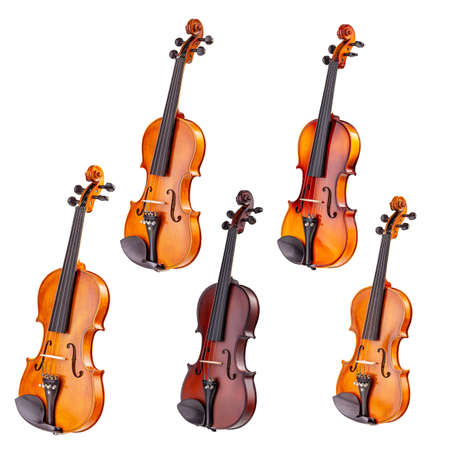 Set of classical violins in white