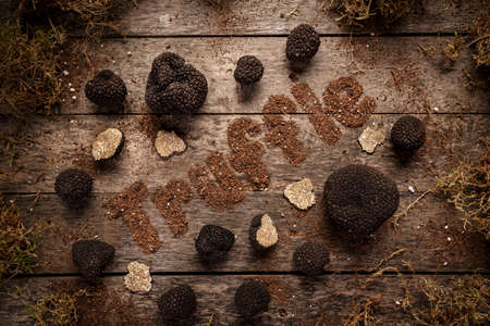 Expensive rare black truffle mushroomの写真素材