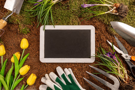 Blackboard on a gardening concept backgroundの写真素材