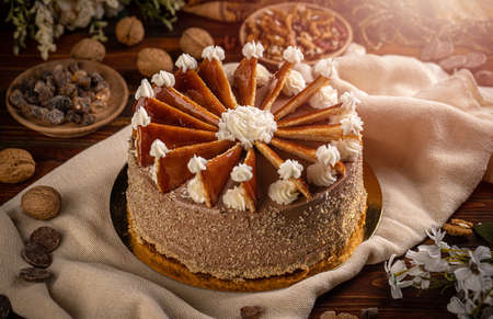 Hungarian Dobos cakeの写真素材