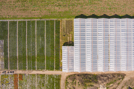 Aerial view of greenhouses and agricultural plant productionの写真素材