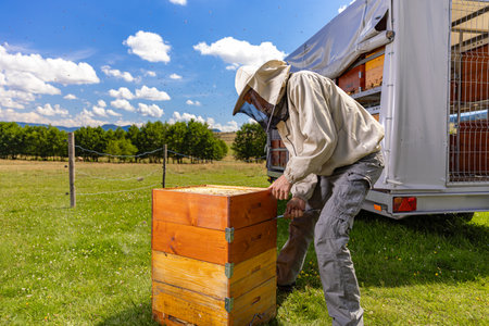 Beekeeper inspecting a beehive while wearing a protective suit.の写真素材