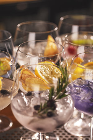 Gin tonic long drink cocktail in various forms with garnish in individual glassesの写真素材