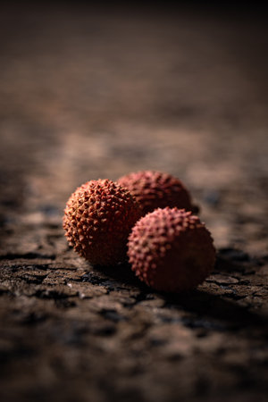 Three lychees sit on cracked dark surface, creating a striking contrast of color and textureの写真素材