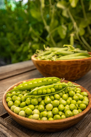 Fresh green peas in wooden bowls resting on rustic tableの写真素材