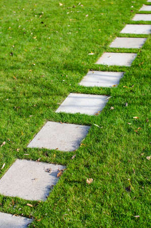 Step by Stepの写真素材