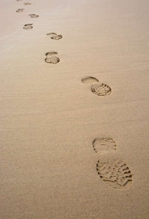 Lonely single track in the sandの写真素材