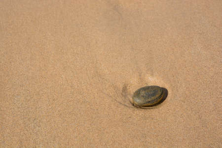 wave washed sand and a single stoneの写真素材