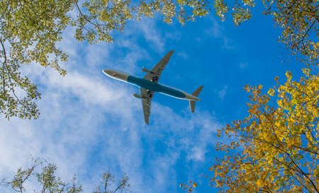 Plane beneath treesの写真素材