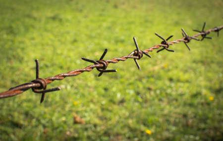 Rusty barbed wire fence on a meadowの写真素材