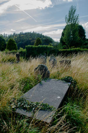 Overgrown Graveyard and Tombstones in Irelandの写真素材
