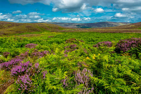 Wicklow Mountains near Dublin in Irelandの写真素材
