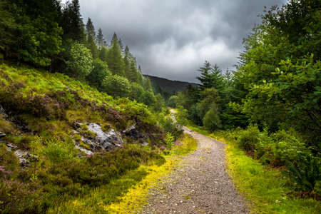 Hiking Trail Through Scenic Forest Landscape On The Isle Of Skye In Scotlandの写真素材